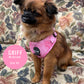 Pink Marble Mesh Harness