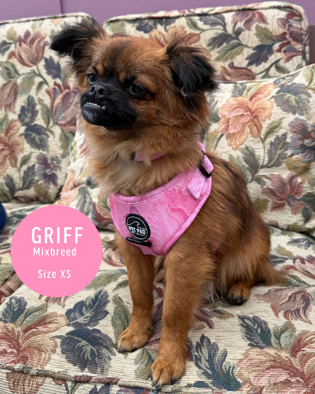 Pink Marble Mesh Harness