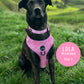Pink Marble Mesh Harness