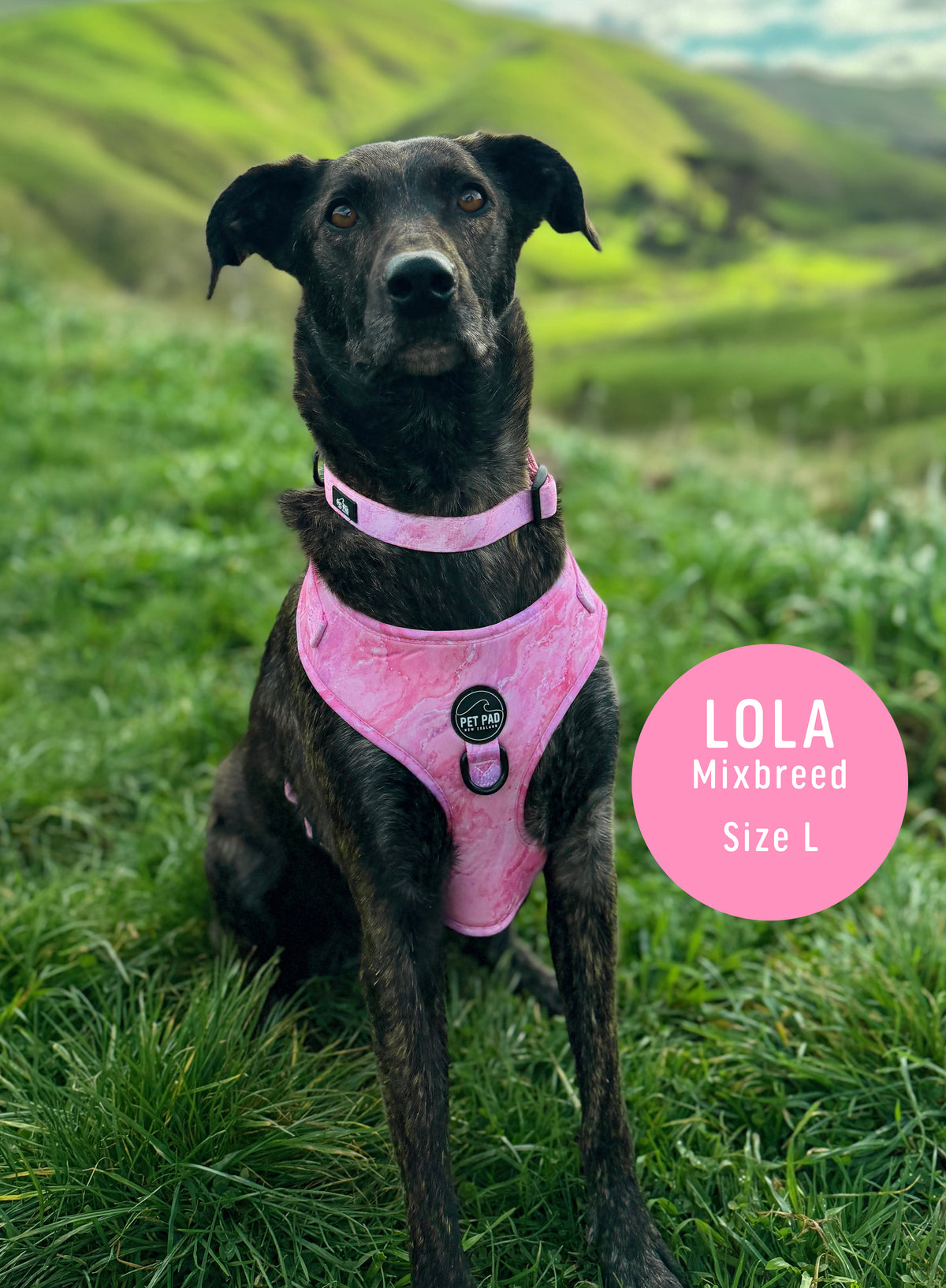 Pink Marble Mesh Harness