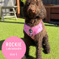 Pink Marble Mesh Harness