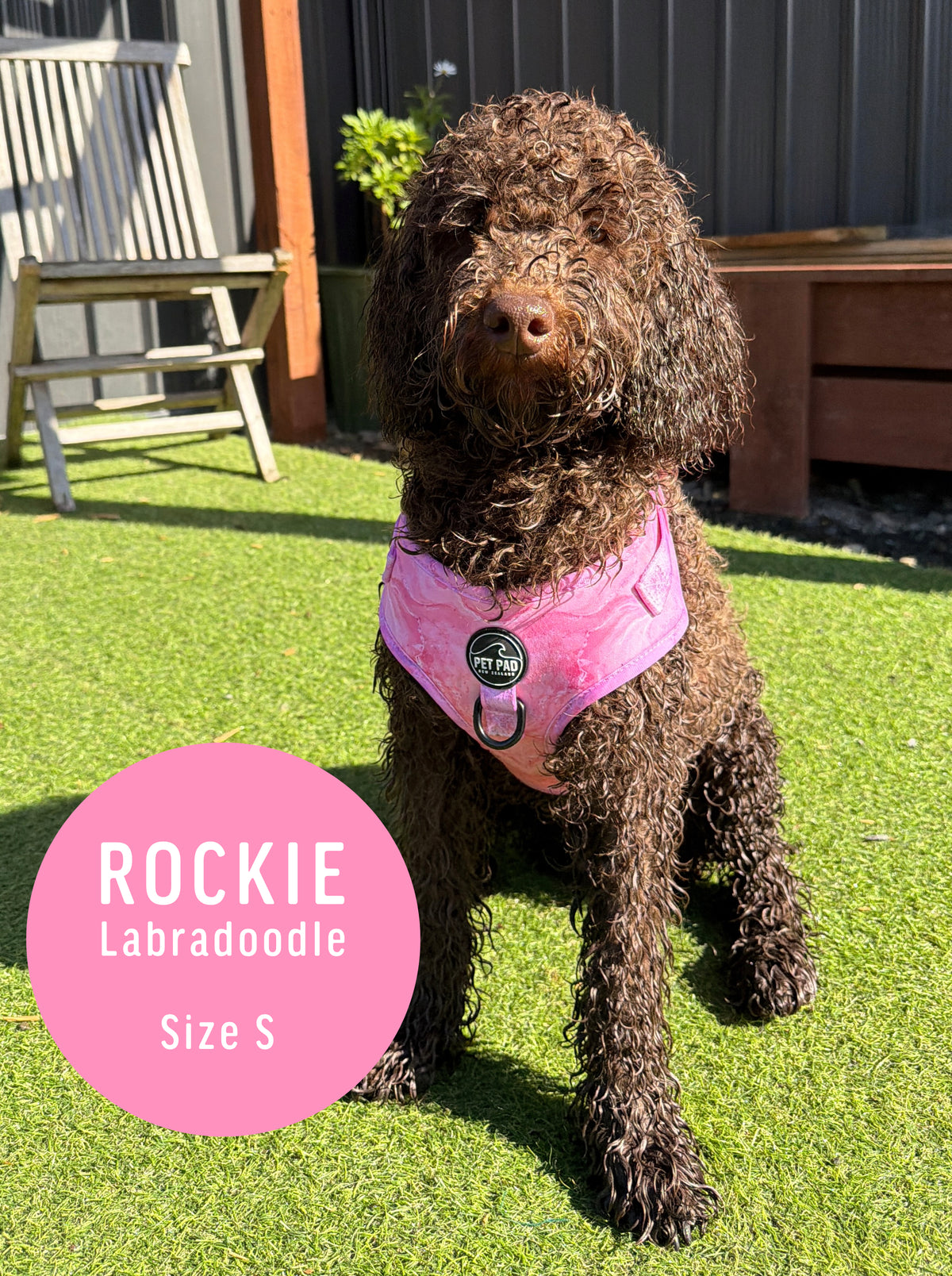 Pink Marble Mesh Harness
