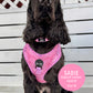 Pink Marble Mesh Harness