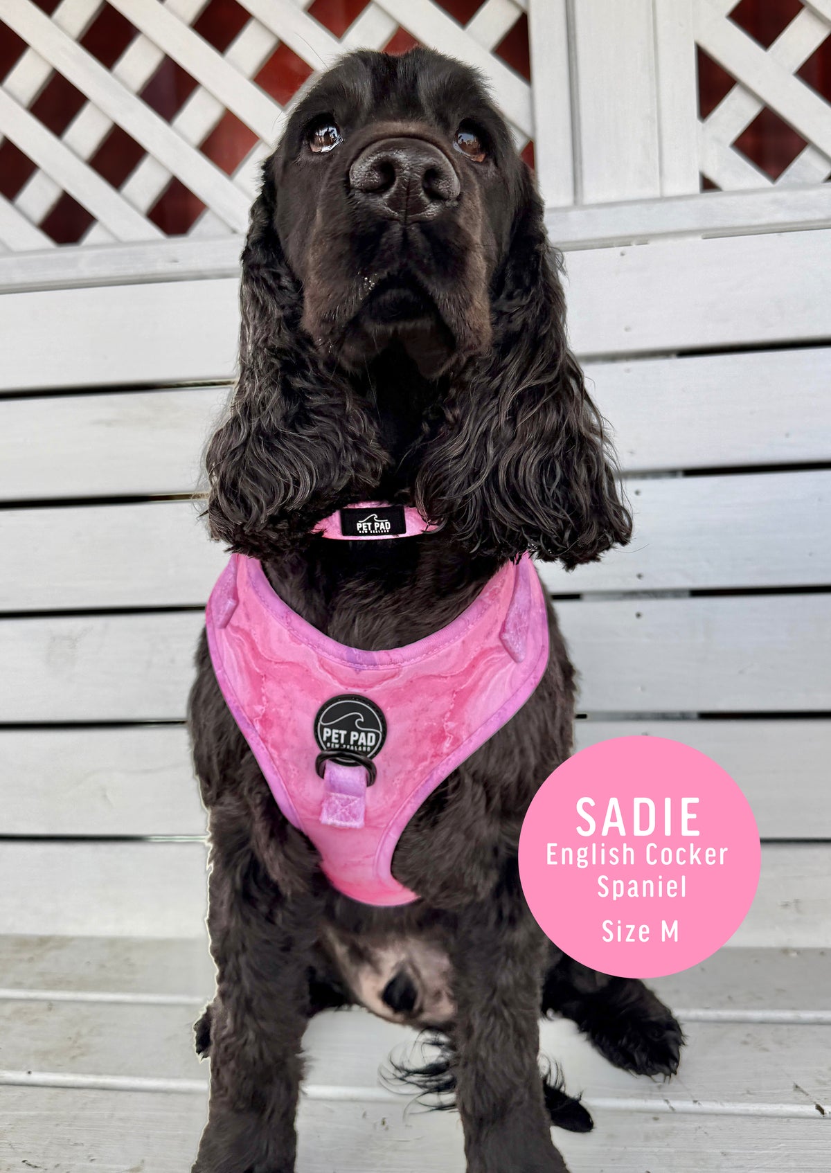 Pink Marble Mesh Harness