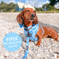 Opito Bay Mesh Harness