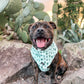 Lookin' Sharp Bandana