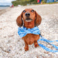Opito Bay Bow Tie