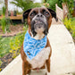 Opito Bay Bandana