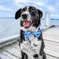 Opito Bay Bow Tie